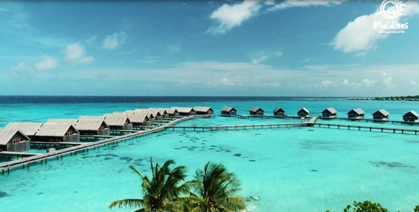 ◤旅游指南◢马尔代夫获2021年世界旅游大奖