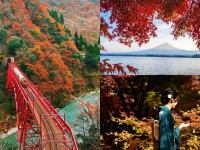 2022年日本秋季预测：日本15个赏枫最佳地点🍁🍂