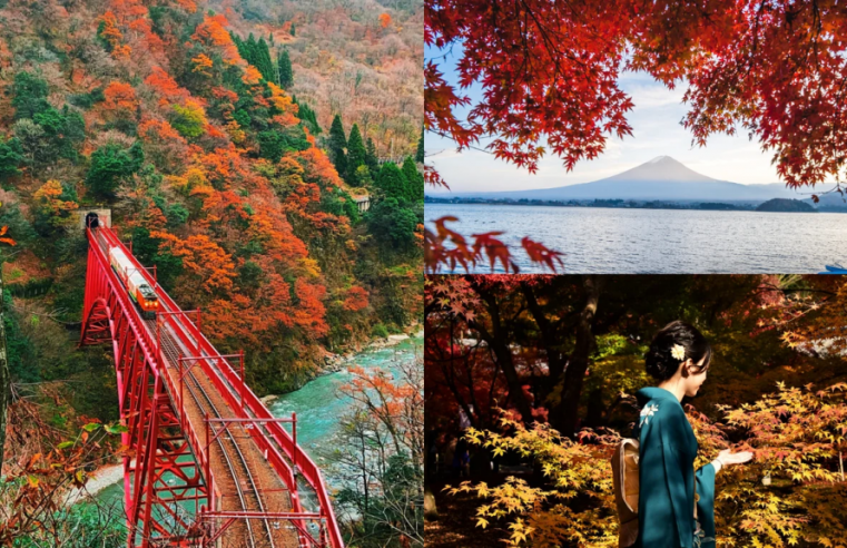 2022年日本秋季预测：日本15个赏枫最佳地点🍁🍂